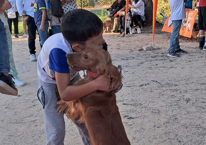 OASI DOG, GIORNATA DI SENSIBILIZZAZIONE PER L’ADOZIONE DEI CANI NEI CANILI   